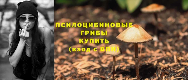 твердый Куйбышев