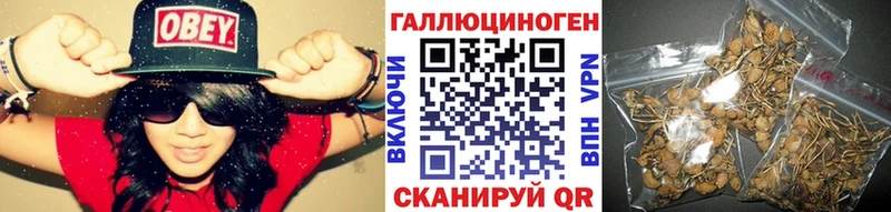 Псилоцибиновые грибы Psilocybine cubensis  где можно купить наркотик  Барыш 